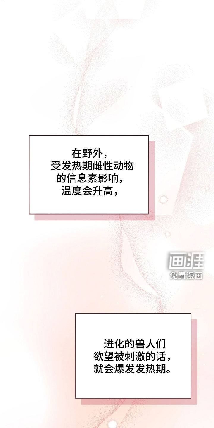 第54话17