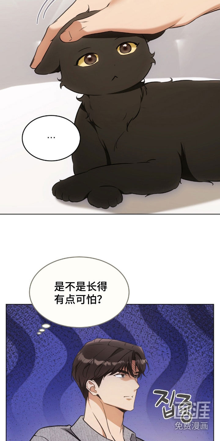 第49话13