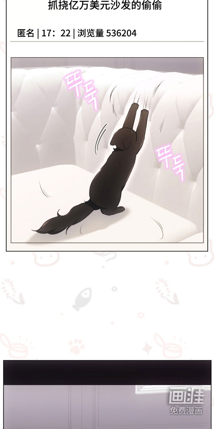第49话1