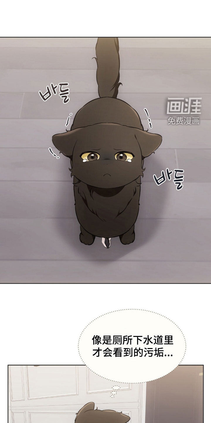 第48话15