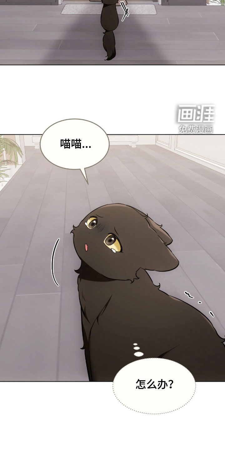 第48话13