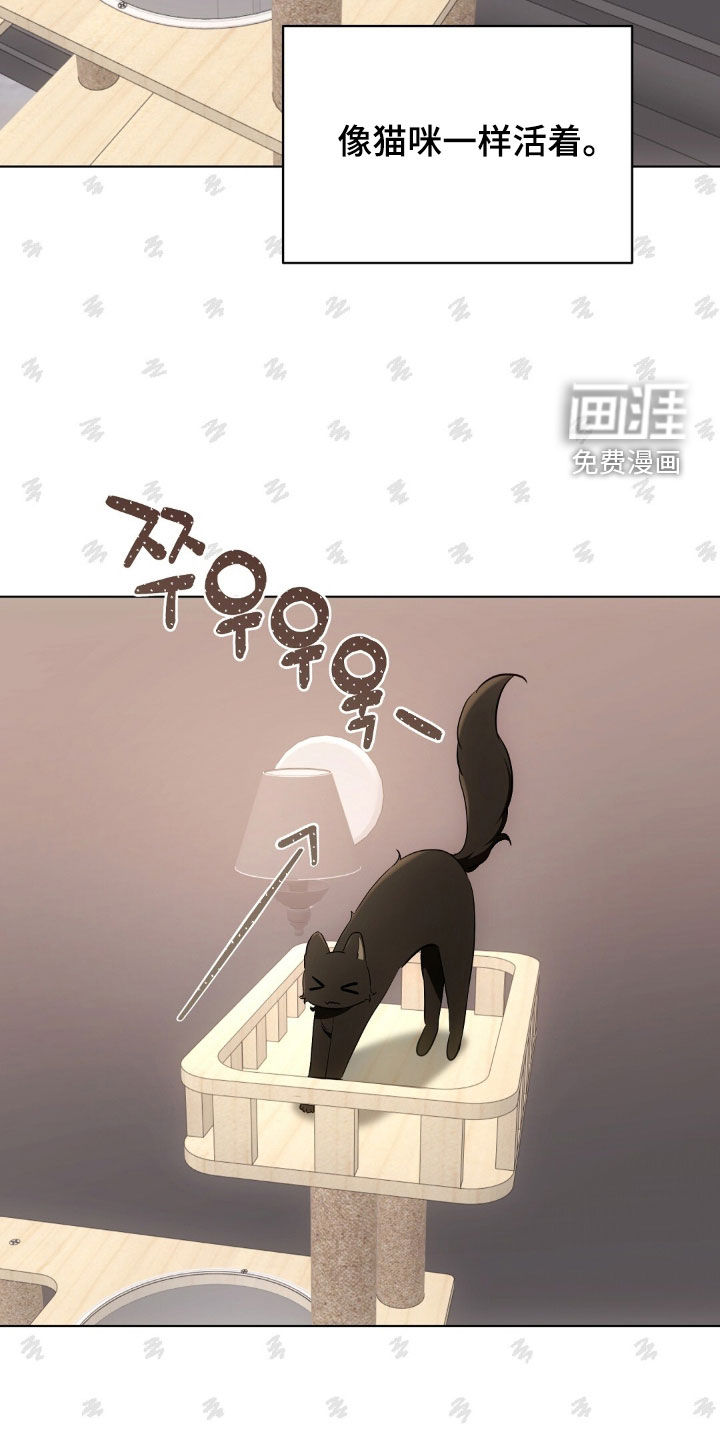 第46话13