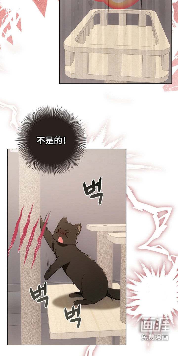 第46话5