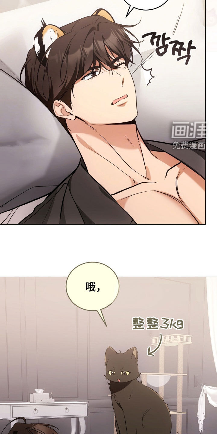 第46话17