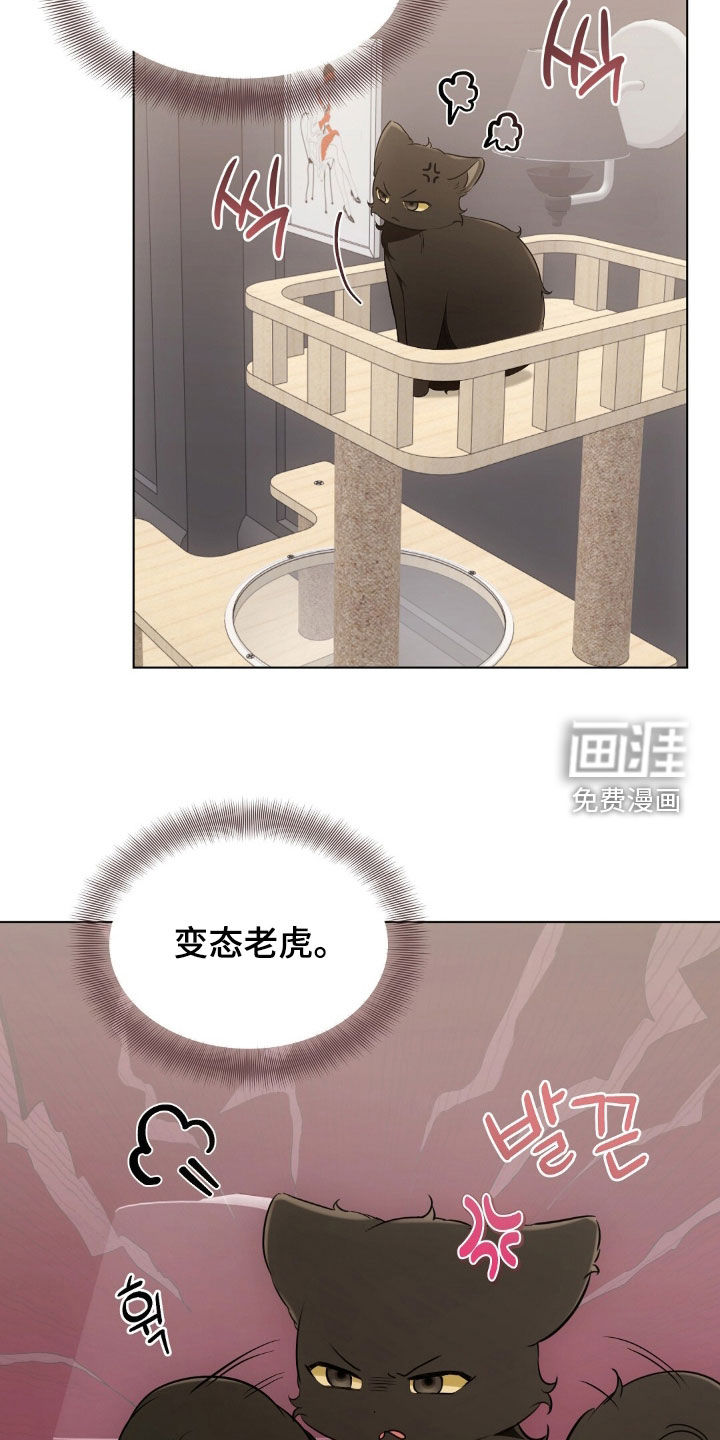 第45话10