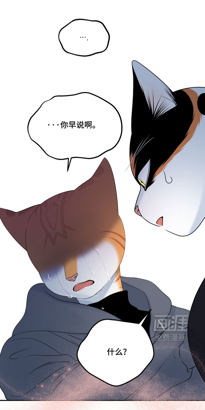 第206话19