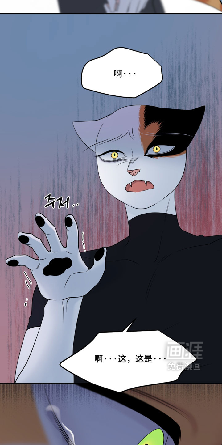 第206话26