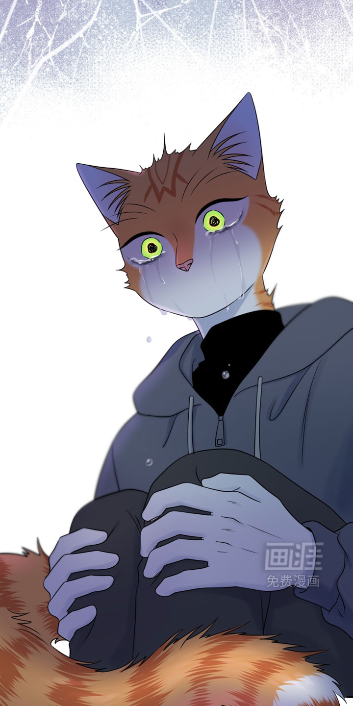 第206话12