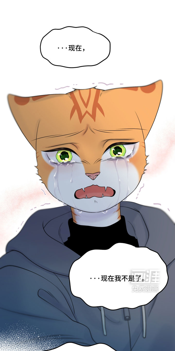 第206话21