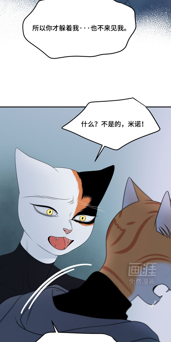 第206话22