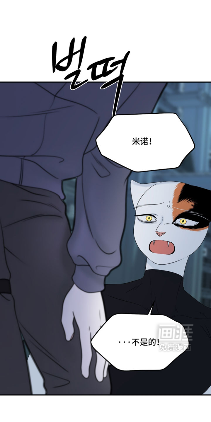 第206话24