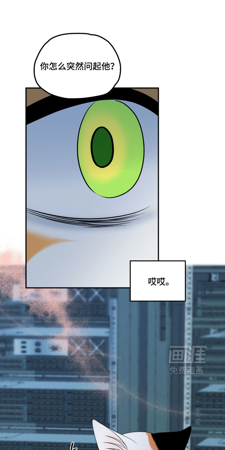 第206话0