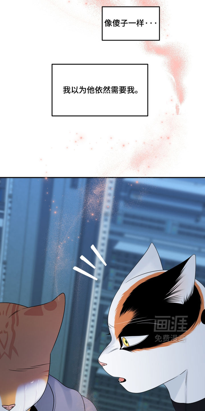 第206话17