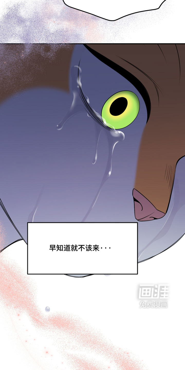 第206话16