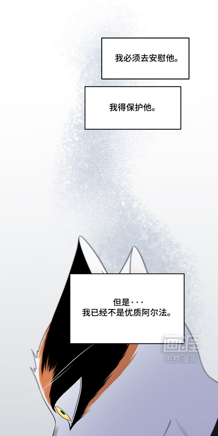 第206话31