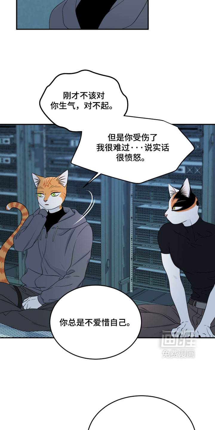 第205话22