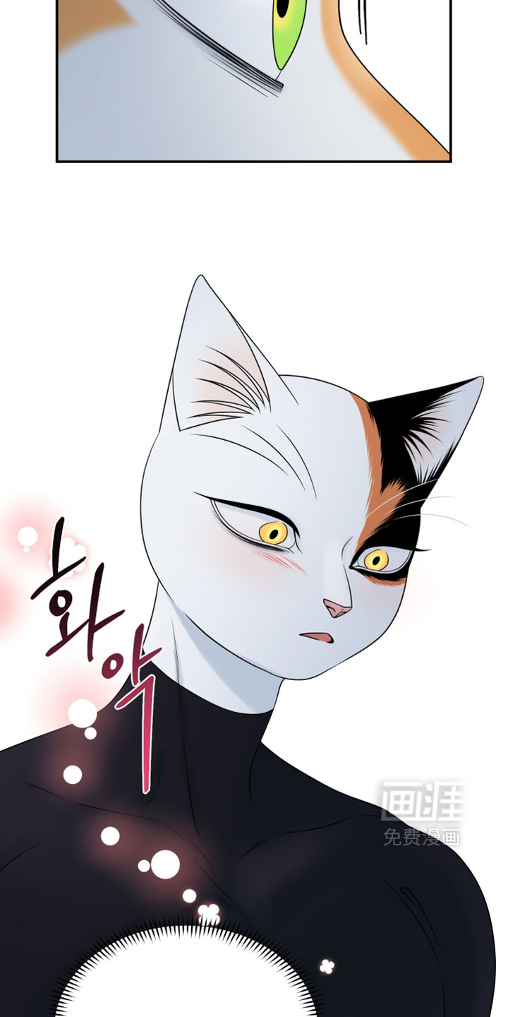 第205话32