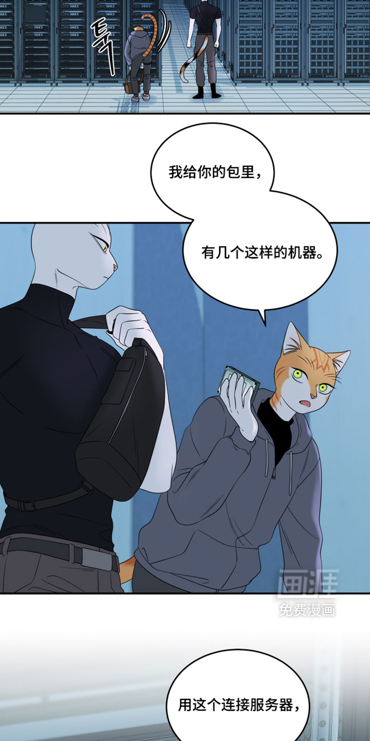 第205话4