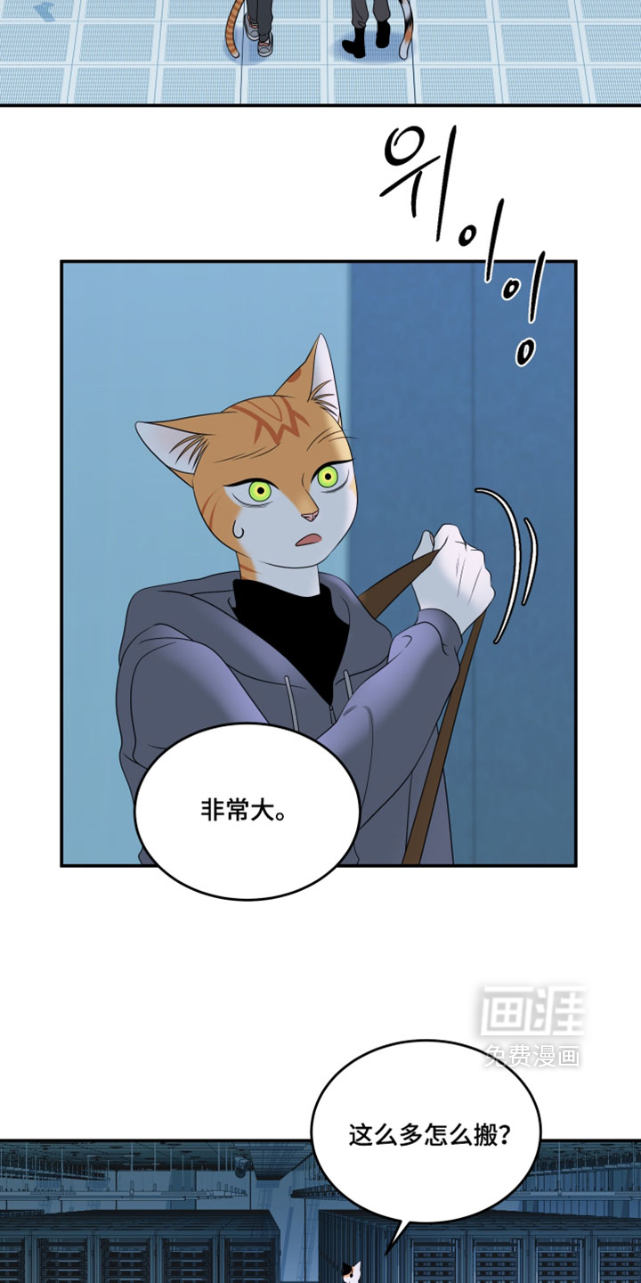 第205话3