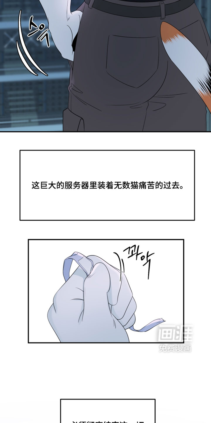 第205话11