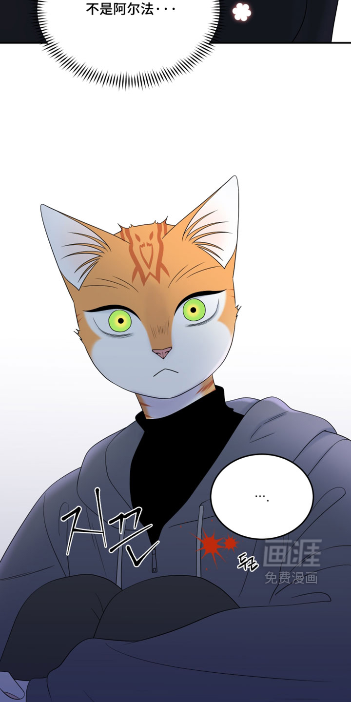 第205话33