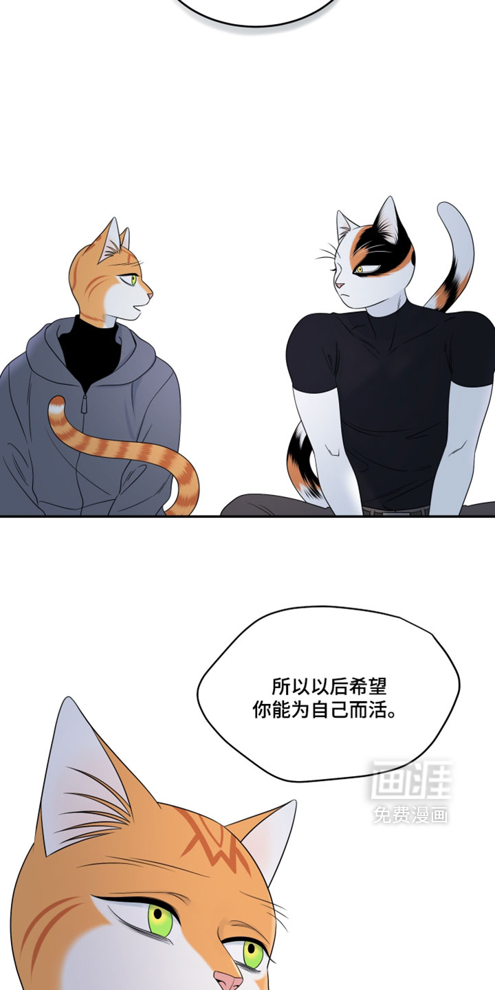 第205话24