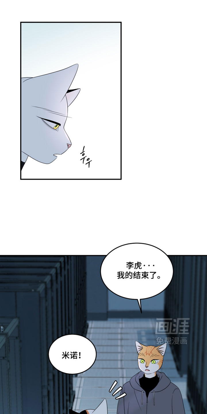 第205话13
