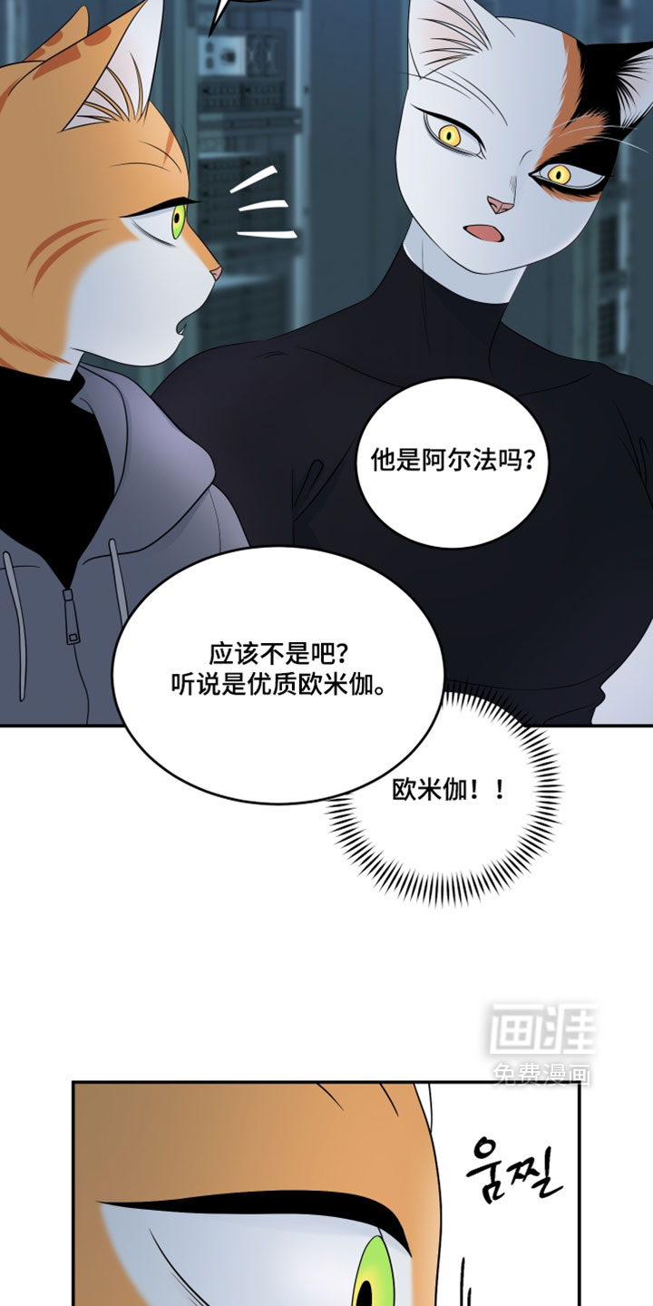 第205话31