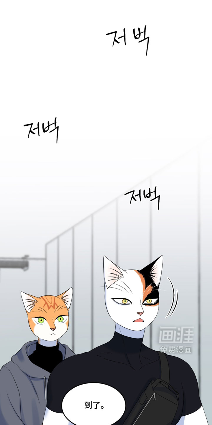 第205话0