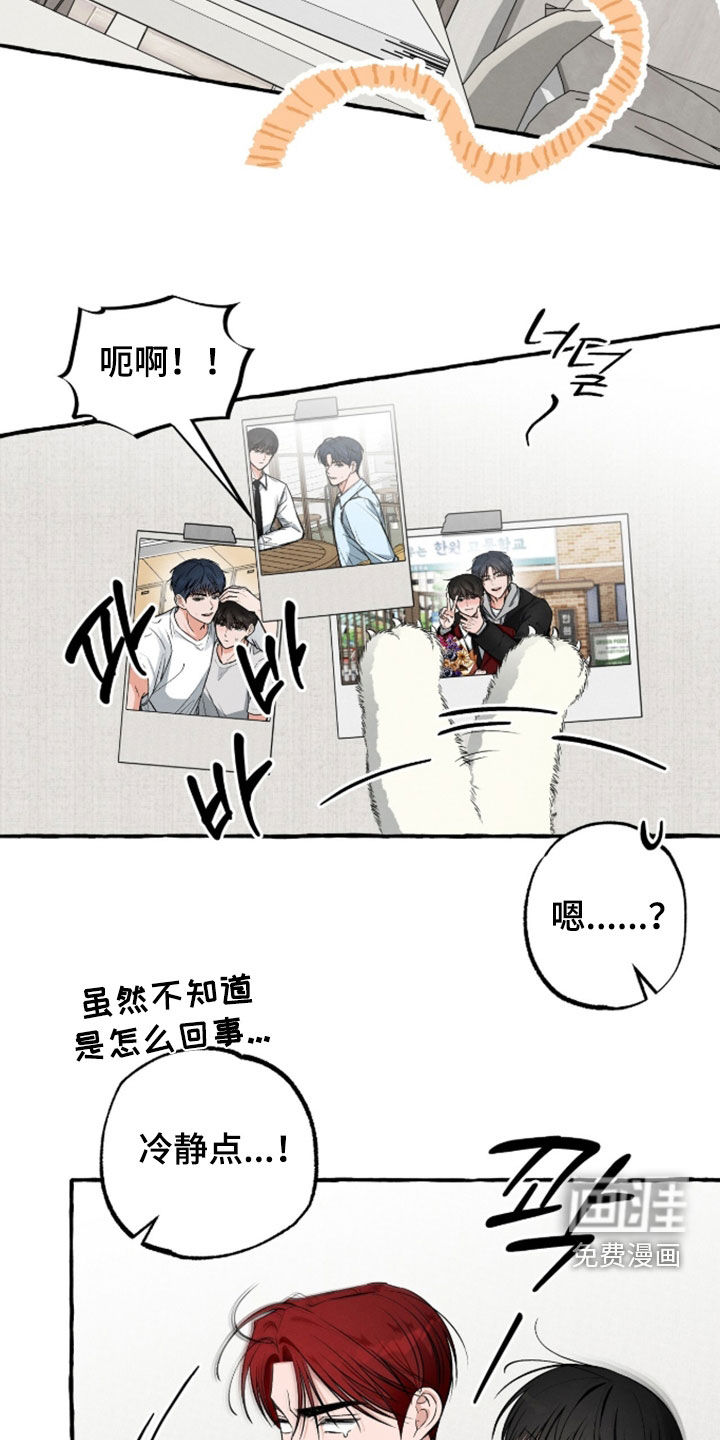 第50话12
