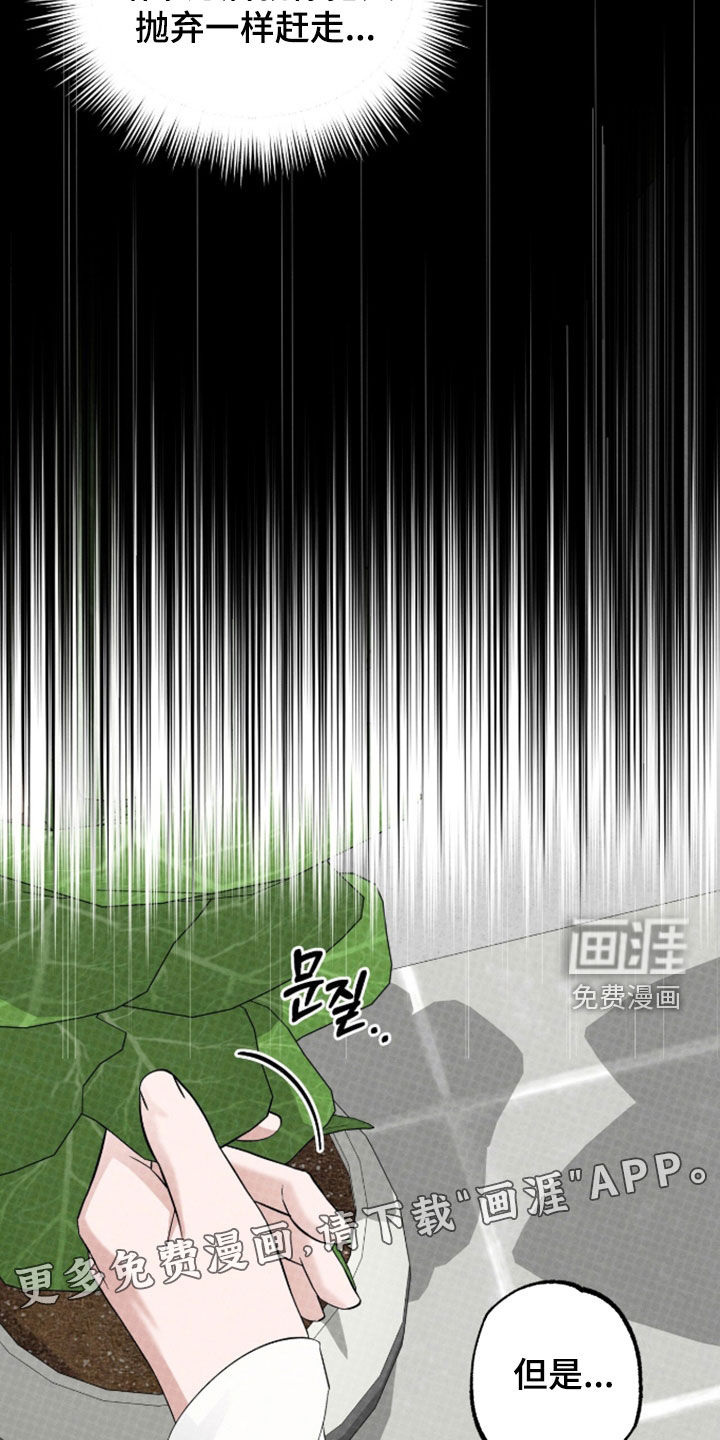 第49话3