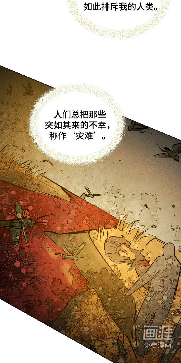 第52话19