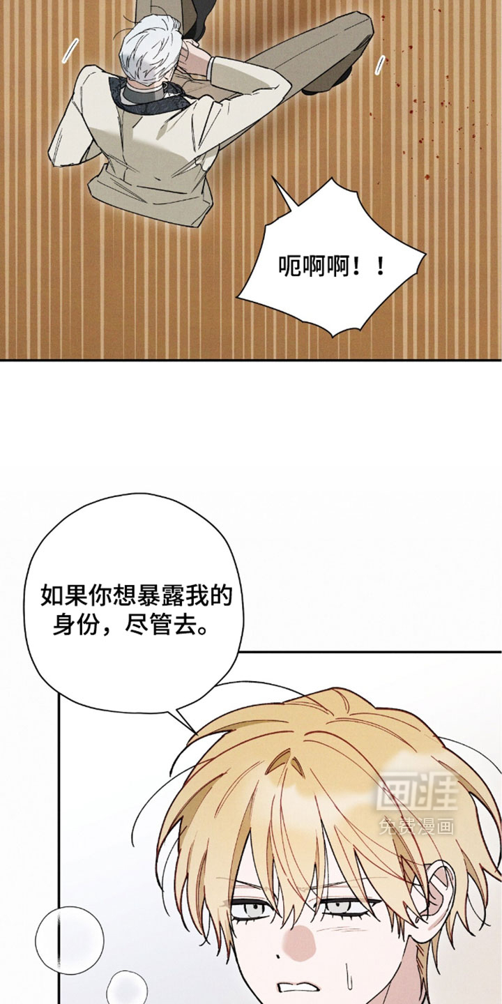 第210话17