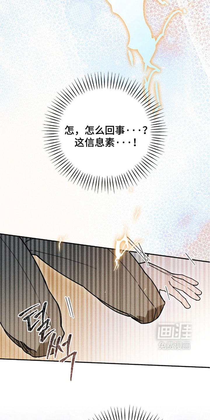 第210话10