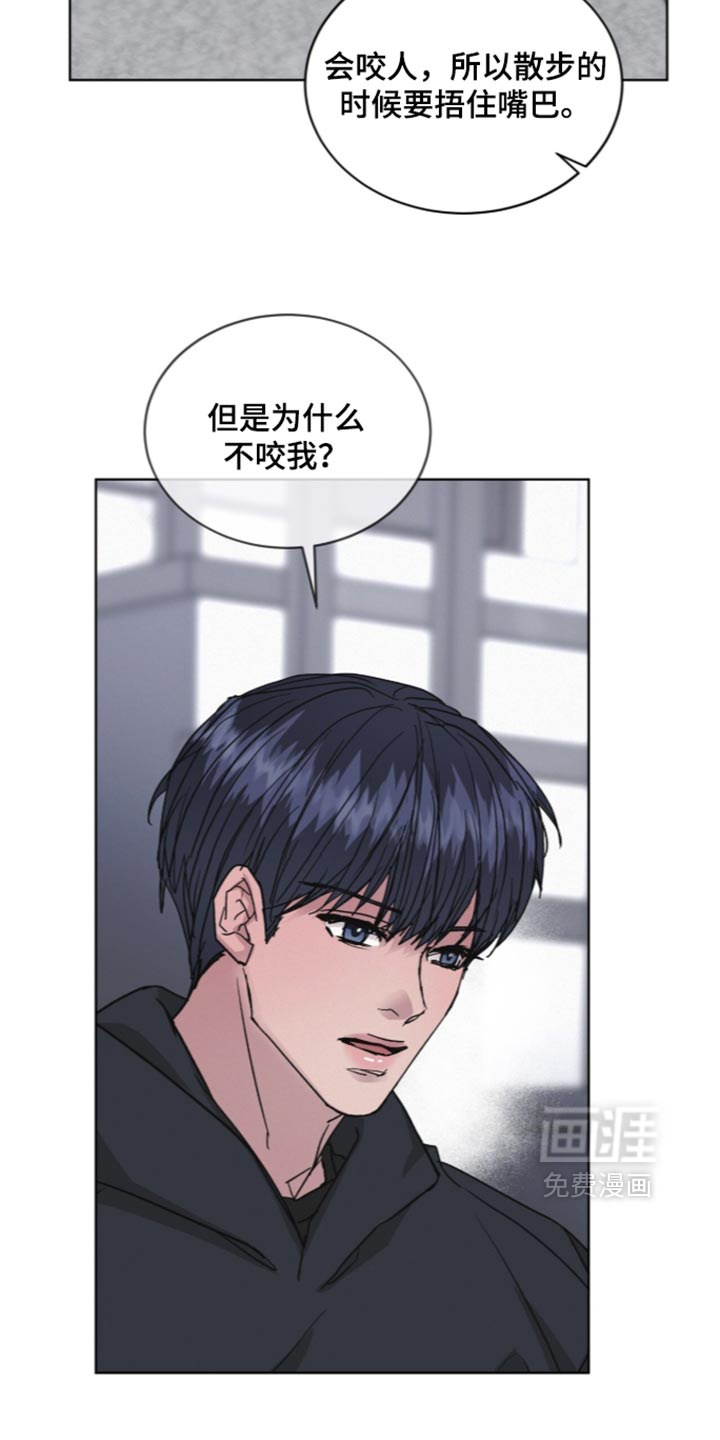 第92话5