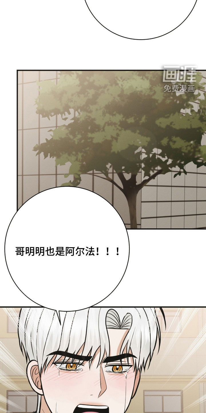 第84话14
