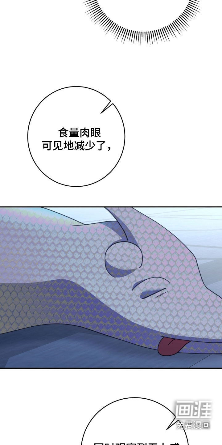 第104话4