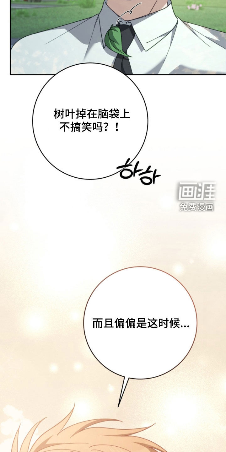 第102话11