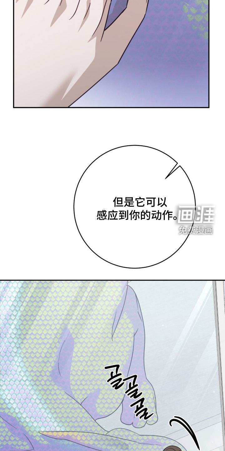 第100话24