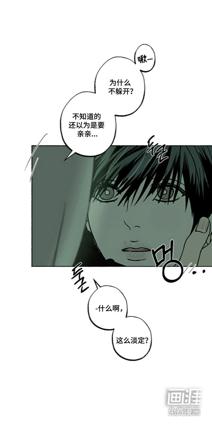 第65话31