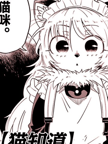 猫知道