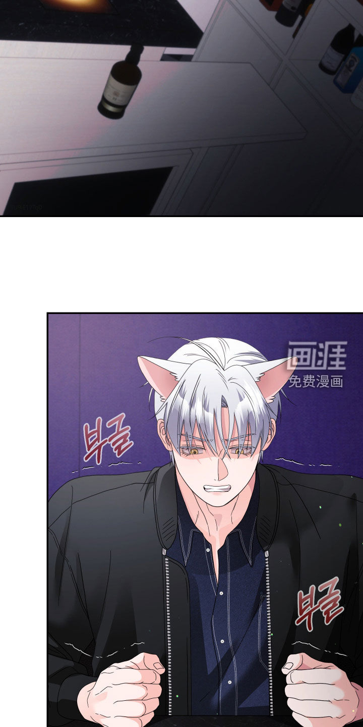 第84话1