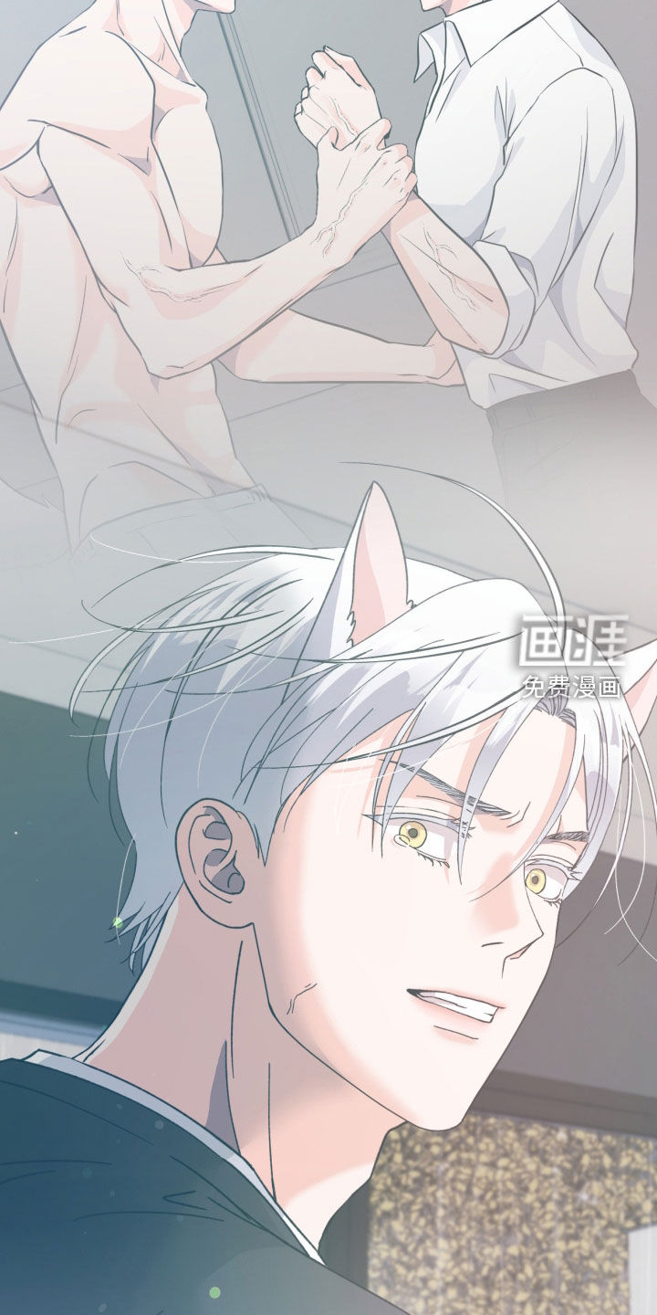 第84话12