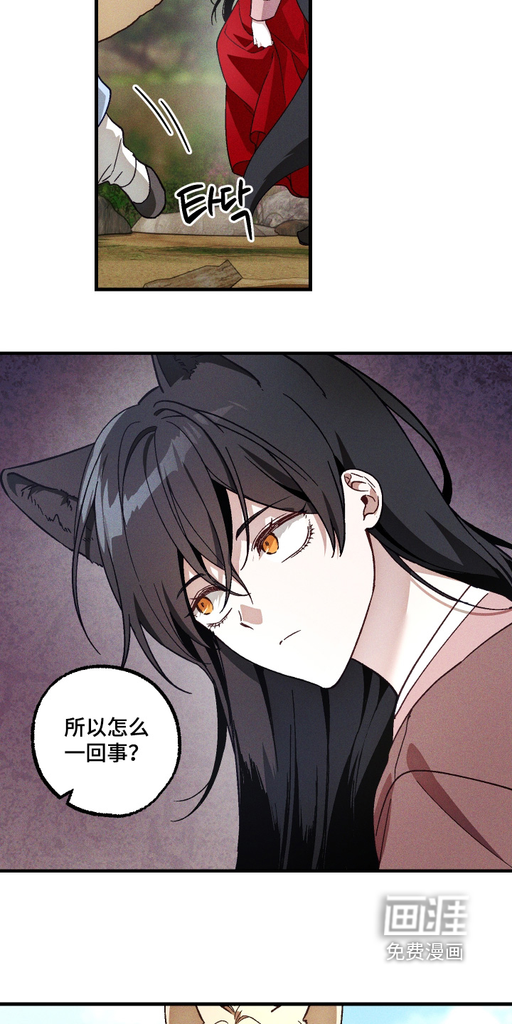 第71话11