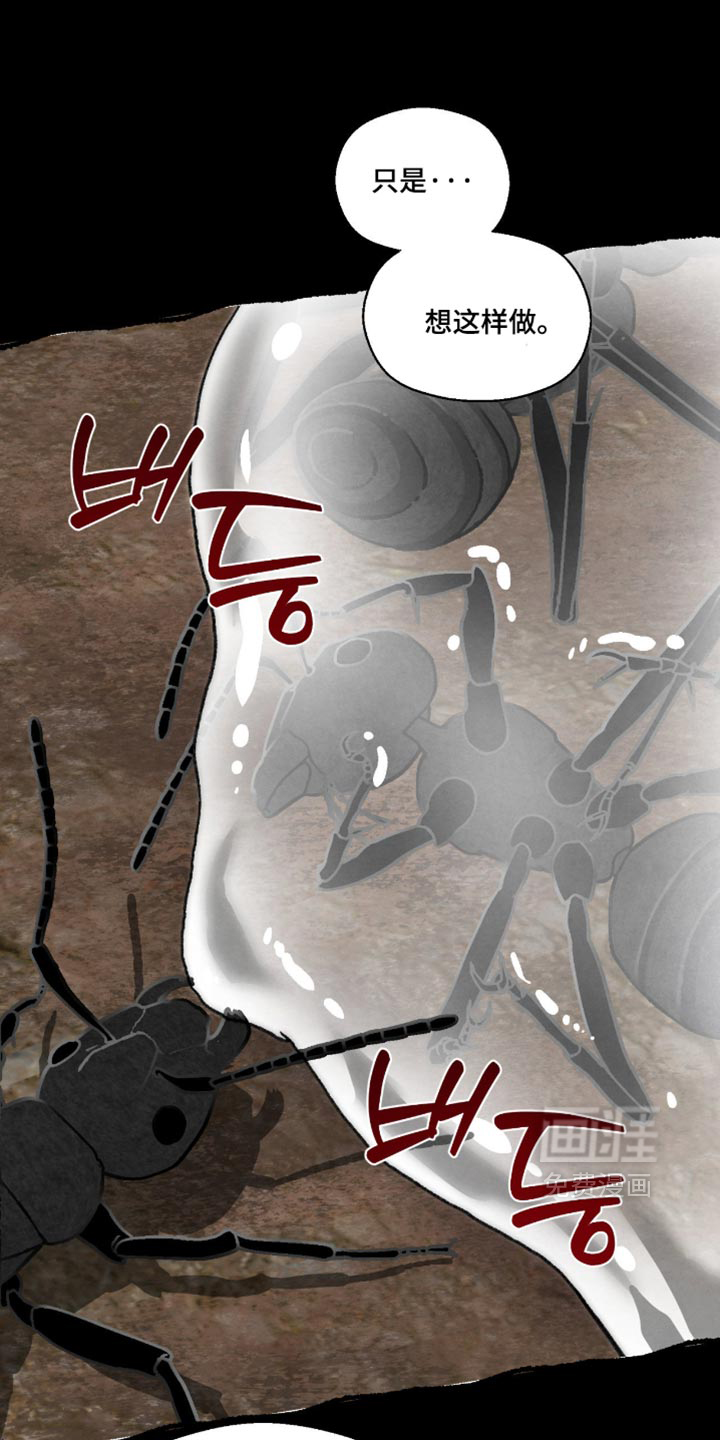 第136话17