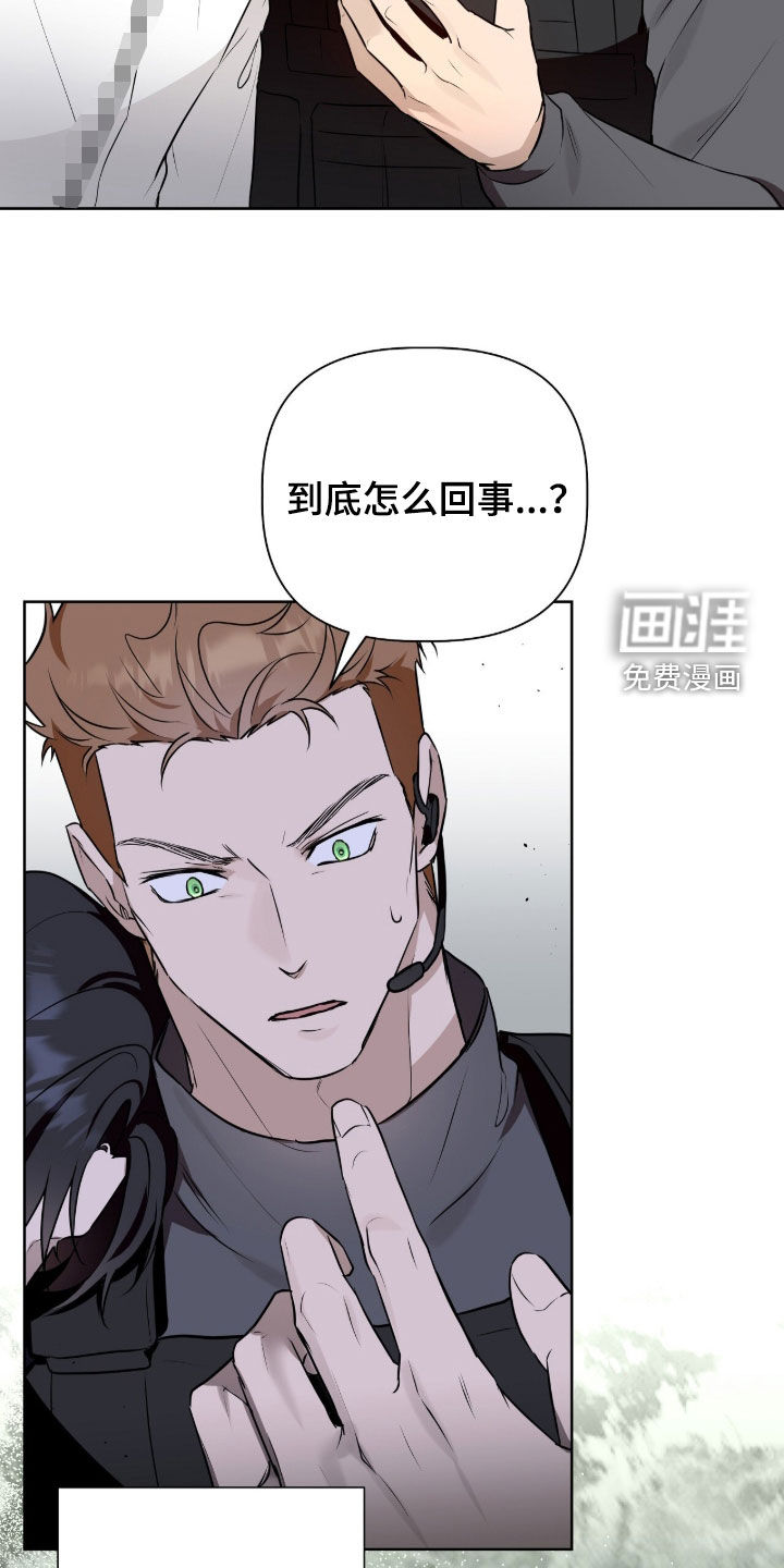 第113话11