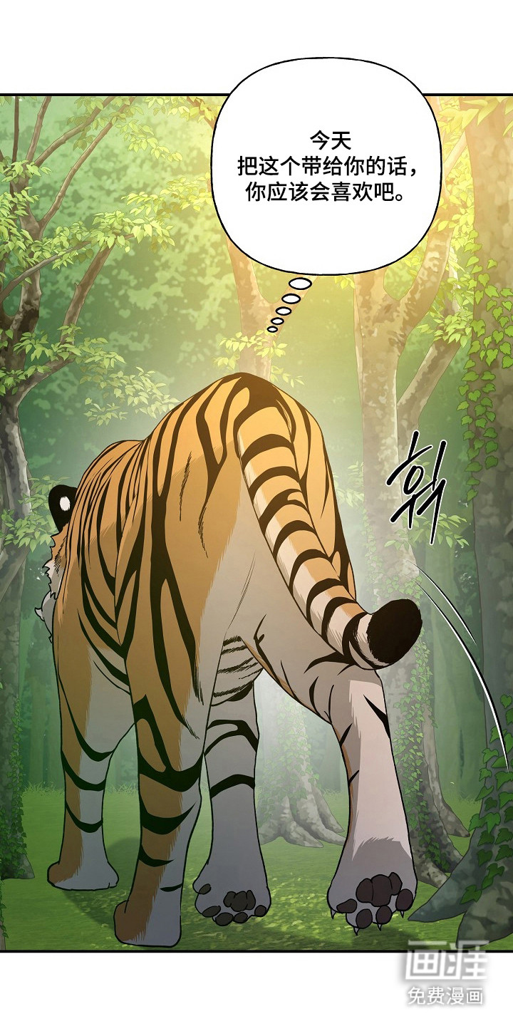 第91话11