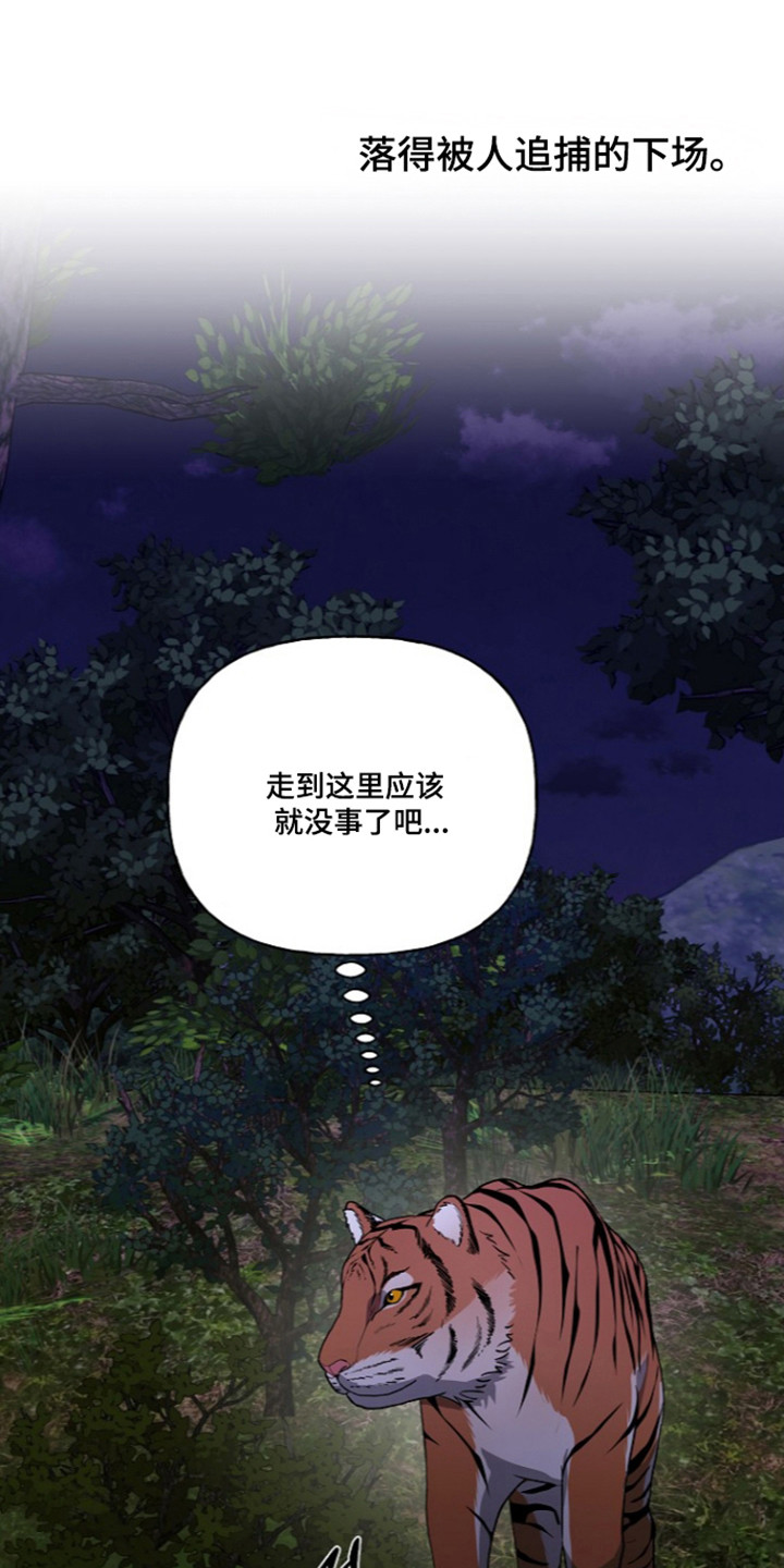 第93话21