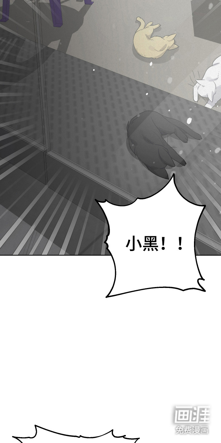 第28话29