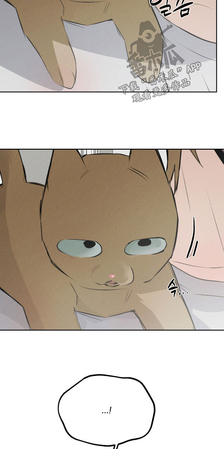 第60话7